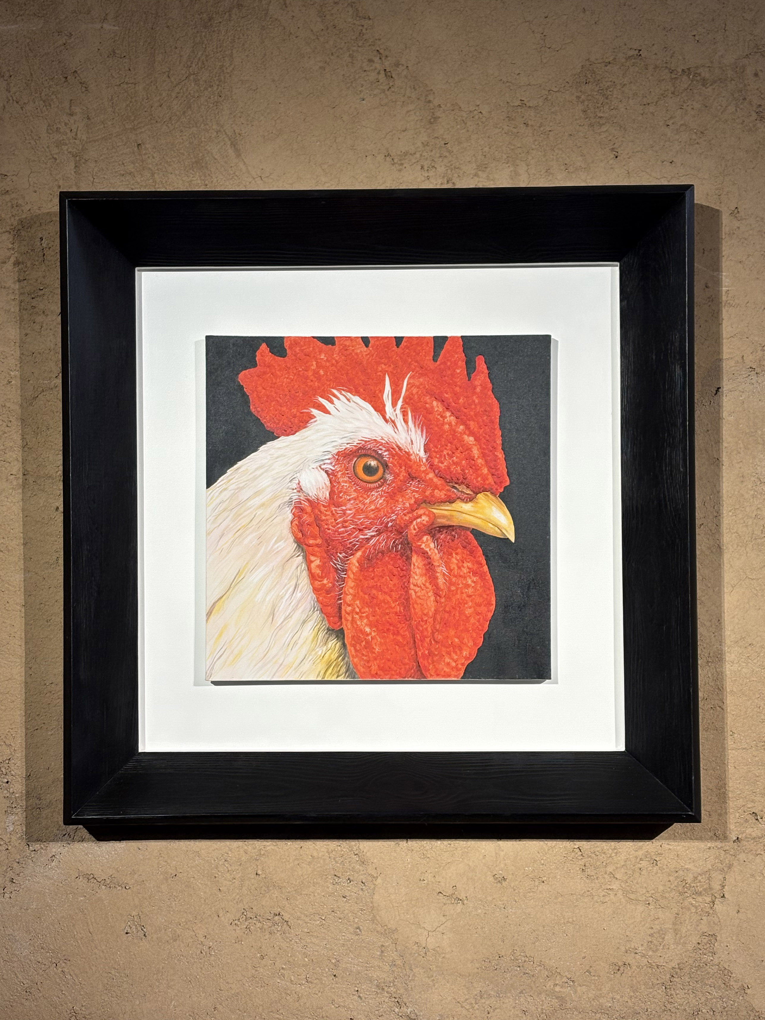 Angelo Zanella - gallo