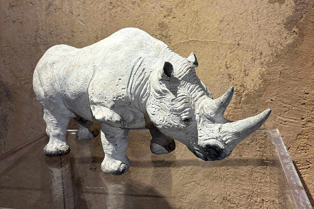 Angelo Zanella - rinoceronte